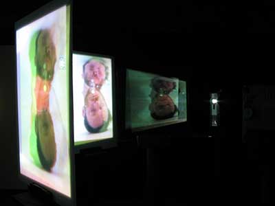 Double Narcissism gallery view 2